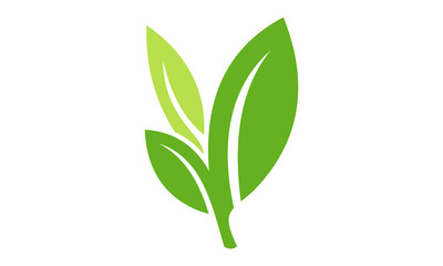 green leaf vector logo
