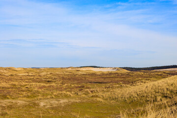 Dune landscape in the Dutch town of Bergen and Zee on a sunny day with a blue sky