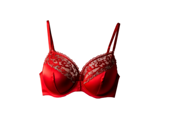 Elegant luxury red bra isolate 