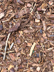 Close-up of wood chips