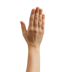 Obraz premium Hand gesture, raised palm, isolated on transparent background