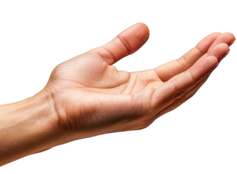Open Palmed Hand Gesture on Transparent Background