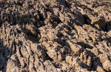 Limestone pavemant on the island of Pag