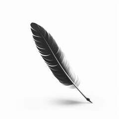 A single black feather stands upright against a plain white background,