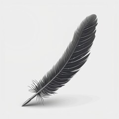 A single black feather stands upright against a plain white background,