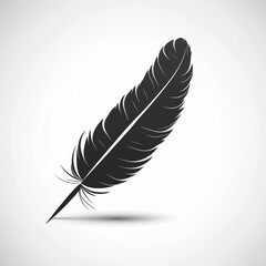 A single black feather stands upright against a plain white background,