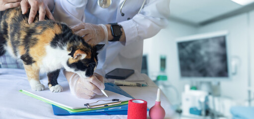 Physician writing a prescription or medical history for a pet cat .