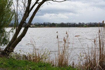 Spring at the shore of the Bezruc pond in the wind. Northern Moravia. Europe.