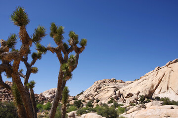 Desert mountain boulders landscape in the Joshua Tree National Park