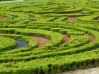 Details of boxwood embroidery in a French garden - Détails des broderies en buis d'un jardin à la Française