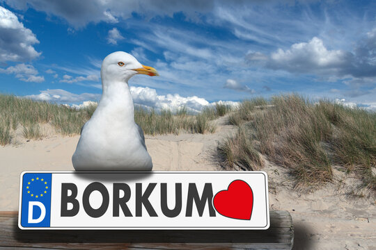 Wandbild mit M&ouml;ve, Borkum, Autonummernschild mit Herz