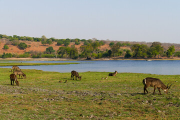 Botswana