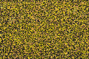 Golden glitters background design on black color. Gold background design. Gold, Black color background. Gold background