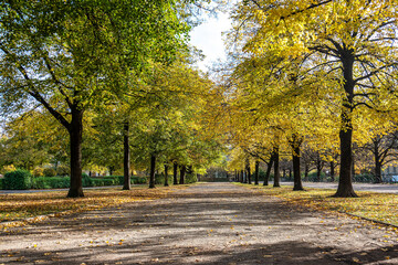 Walking in Hofgarten Park in Munich on an autumn day, Germany