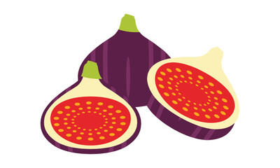 Fig Vector And Illustration Design . 