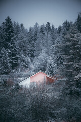 L'hiver approche