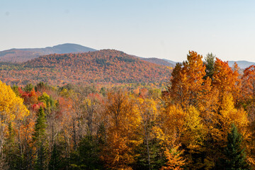 Mountains in Autumn 