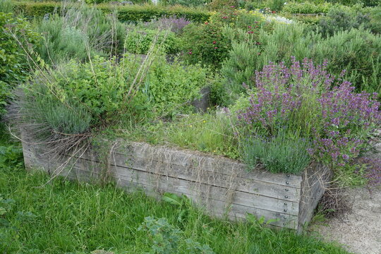 Jardin potager organis&eacute; avec carr&eacute;s potagers en bois