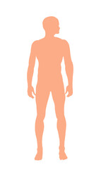 human image, human body parts without background