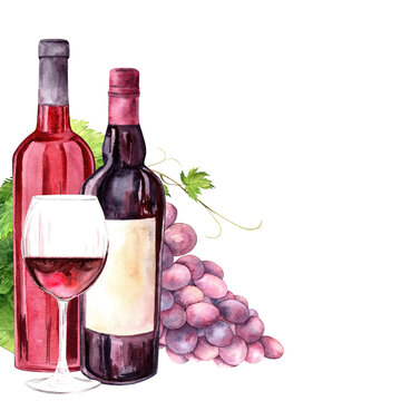 recommend clip art: Grapes, wine and bunch of grapes watercolor drawing