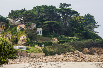 pine trees and houses in the rocky coast of Britanny
