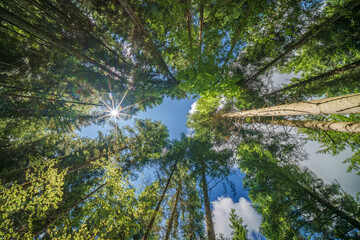 Fototapety na wymiar - Fototapeta24.pl