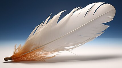 feather on a black background