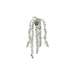 Vertical home decor with greenery. A decorative bucket with eucalyptus branches hangs on the background of a wooden board. Eco-friendly interior and exterior design. An element of a vertical garden.