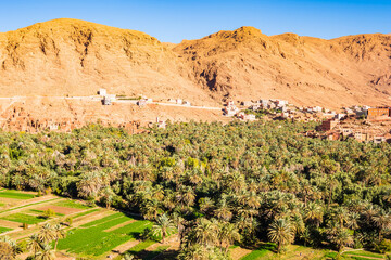 Green oasis with palm trees in Tinghir town with mountains in background, Morocco, North Africa