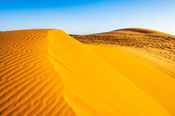 Sand dunes at Erg Chebbi Sahara desert at sunset near Merzouga town, Morocco, North Africa