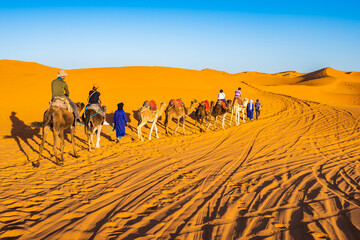 Camels caravan with tourists walking on sandy dune at Erg Chebbi Sahara desert near Merzouga town,...