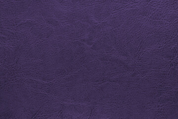 Genuine purple leather texture, natural animal skin, luxury vintage cowhide background. Eco...