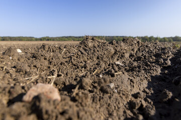 preparing the soil for sowing in spring