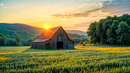 Barn in the middle of field with the sun setting in the background.