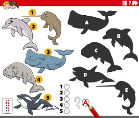 finding shadows activity with cartoon marine mammals