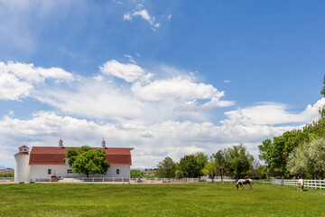 Two horses grazing near the farm building