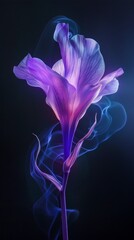Lebanese cyclamen flower, in swirling swirls, dreamlike installations