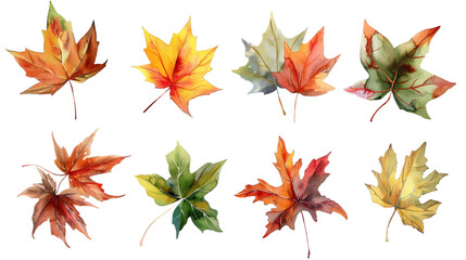 Watercolor set of autumn yellow-green leaves, hand painted illustration on transparent background