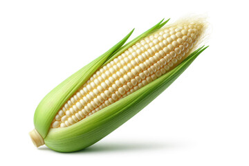 White corn cob  isolated on white