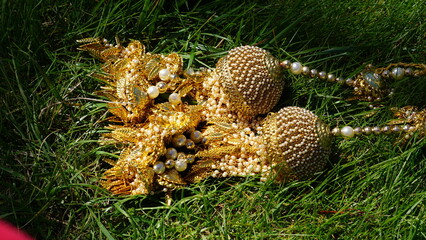 cones on the grass