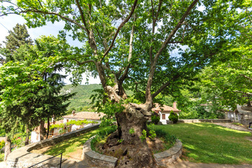 Village of Ampelakia, Larissa, Thessaly, Greece