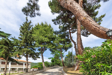 Village of Ampelakia, Larissa, Thessaly, Greece