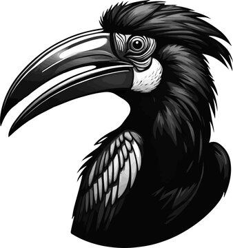 black and white hornbill portrait clip art preview