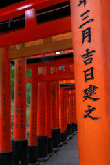 Tori Gates, Kyoto