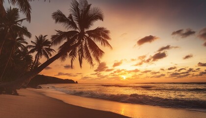beautiful sunset on the palm beach