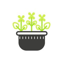 Flowers with small petals and leaves on stem, plants pot black and green line icon vector illustration