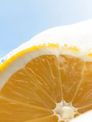 Macro of lemon and ice