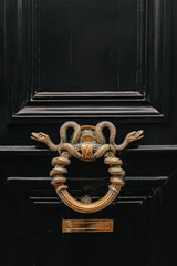 Close-up of elegant brass door handle in a shape of snake
