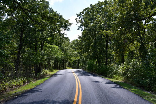 Forest Road