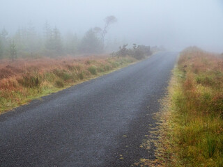 A small country foggy road with trees in the background. Dangerous driving conditions. Rural area in Ireland. Nature scene with mist. Nobody.